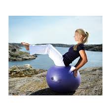 Das pilatestraining kann auf der matte und an speziell entwickelten geräten stattfinden. Ballon De Gymnastique Swissball Securemax