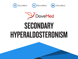 Image result for Hyperaldosteronism