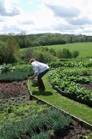 Learn To Grow Vegetables All Year Round Sarah Raven Course At Perch Hill Gardening Courses Allotment Gardening Amazing Gardens