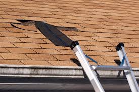 El Niño Is Bringing a Wetter Florida This Year - Here's Why Your Roof Should Be Your First Concern