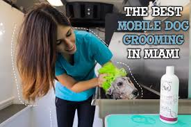 Mobile dog grooming prices will also vary based on the services you need, the area you live in, and your dog's temperament and breed. Best Mobile Dog Groomers Near Me Off 52 Www Usushimd Com