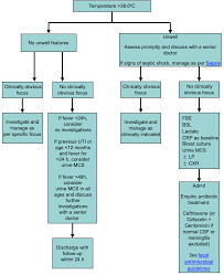 Image result for Fever Without Focus Red Flags