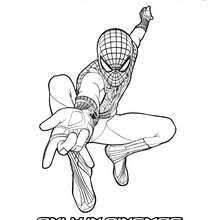 El Increible Spidey Teje Su Pagina Web Para Colorear Dibujo Para Colorear Dibujos Para Colorear Super Heroe Spiderman Coloring Coloring Pages Spiderman Art
