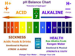 Kangen Water Ph Balance Chart Www Aguabygrace Com Ph