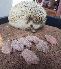 images?q=tbn:ANd9GcT1bQ80Z-0YzLKFef5EuVP