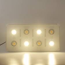 Maybe you would like to learn more about one of these? New 2019 3000k 3500k 4000k 480w 640w Led Grow Light Cri 90 Cxb3590 Vegetable Fruit Growing Lights Agriculture Greenhouse Led Grow Lights Aliexpress