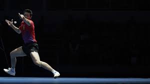 He's also known as the dark knight! Chinese Paddlers Sun Yingsha And Xu Xin Win Titles At Singapore Event Cgtn
