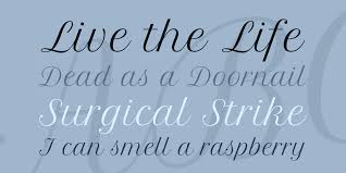 Download typeface petit formal script free. Petit Formal Script Font 1001 Fonts