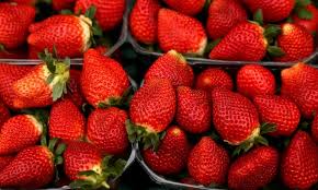 Strawberries are globally cultivated for their fruits which are popular for. The Five Genetically Modified Fruit Gene Editing The Guardian
