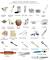 Name Of Kitchen Items In English And Hindi