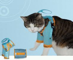 See The Cat Grooming Harness That Protects You From Scratches Bites Here From Healthy Kitty Cats Cat Training Scratching Cat Safety