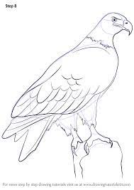 Pin On Animal Drawing