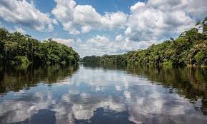 Find the best companies in rvs, motorhomes and trailers category: Congo Rainforest And Basin Places Wwf