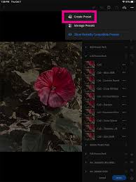 You should see a list of files. How To Install Use Lightroom Presets On Your Ipad Hue Hatchet
