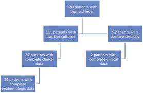 epidemiology clinical manifestations and molecular typing