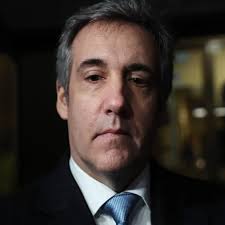 Judge asks Michael Cohen lawyer if cited cases are fake