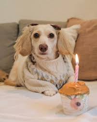 Maddy, Kaylee, & Daisy Viray (@maddy.kaylee.daisy) • Instagram photos and  videos