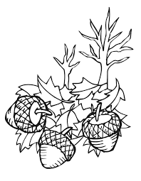 Simply do online coloring for acorn picture coloring pages directly from your gadget, support for ipad, android tab or using our web feature. Fall Coloring Pages 60 Pictures Of Autumn Free Printable