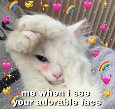 Pin By Dominika Gawryszczak On Awa Cute Cat Memes Cute Love Memes Cat Memes