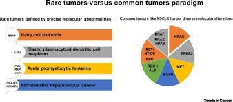 From Tissue Agnostic To N Of One Therapies R Evolution Of The Precision Paradigm Trends In Cancer
