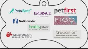 Start a quote for pet insurance and see how affordable a policy for your dog or cat why do i need pet insurance? Pet Insurance Is It Worth It Firstcoastnews Com