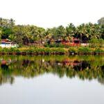 Sewri Fort: Immerse Yourself In The ...