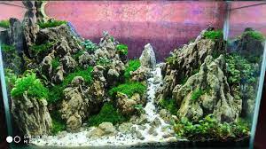 28 Aquascape Tema Bukit Youtube Tanaman Air Aquascaping Tanaman