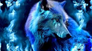 3840x2160 58 4k wolf wallpapers on wallpaperplay. Hd Wolf Wallpaper Kolpaper Awesome Free Hd Wallpapers