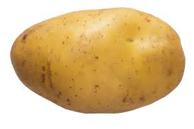 10 Problems Solved With Spuds Potato Home Remedies Farmers Almanac