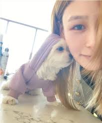 I have a question regarding the anti-theft security features of the Anthbot  Genie 3000. If the mower loses power (e.g., the charging station is  unplugged) and remains without power for over 30