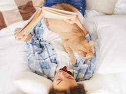 Why Does My Cat Lay On Me