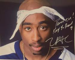 2Pac and the Wild Horse Spirit: How Shakur's Lyrics Symbolize Strength and  Freedom