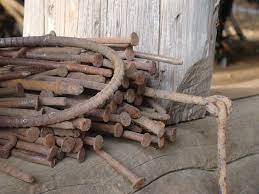 Old rose head spike large barn nail vintage hand forged 5 1/4 rustic handmade. Rustic Barn Nails Photograph By Patricia Branham