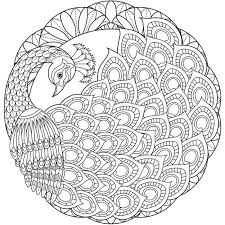 Peacock Mandala Art Color Your Own Comforters Mandala Art Mandala Design Art Mandala Artwork