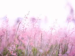 Cemeteries in Danville, Illinois