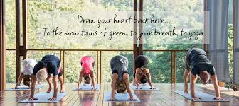 5 easy yoga asanas to cure anaemia yoga for disease yoga for anaemia. Breathing Techniques And Yoga Poses For Those Struggling With Anaemia Celia Roberts