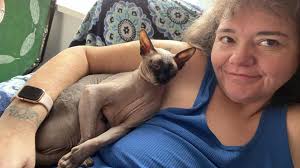 Should I use a dog sweater pattern or a cat sweater pattern for my cat?