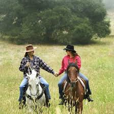 Cactus jacks trail rides, llc. Romantic Things To Do In Ocala Fl