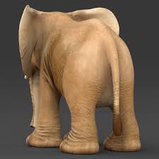 Baby Elephant Elephant Baby Elephant 3d Model