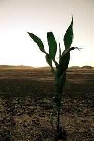 Mirror, mirror on the wall, who's the naughtiest of them all? Field Of Dreams Wikiquote