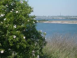 Pin Auf Lausitz Nach Dem Tagebau 2014 05