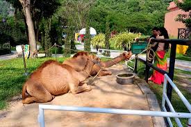 Camel republic cha am entrance fees: Camel Republic Picture Of Camel Republic Cha Am Tripadvisor