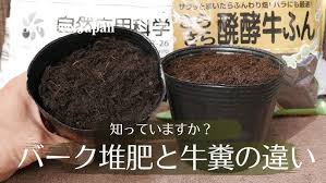 いまさら聞けない】バーク堆肥の特徴と使い方【土壌改良】 - YouTube さん