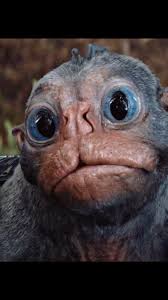 images?q=tbn:ANd9GcT1cFEnTbbbx1trdOFiW-U