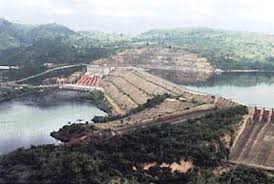 Image result for Wolffiella welwitschii