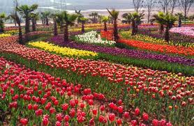 Check spelling or type a new query. Honghe Taiping Lake Forest Park Travel Entrance Tickets Travel Tips Photos And Maps Yunnan Exploration Yunnan Travel Yunnan Trip Yunnan Tours 2020 2021