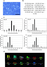 Cho cells, the industrial standard / karlheinz landauer. Establishment Of Fast Growing Serum Free Immortalised Cells From Chinese Hamster Lung Tissues For Biopharmaceutical Production Scientific Reports