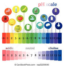 ph scale litmus paper color chart