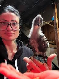 What are the names of these adorable chicks?