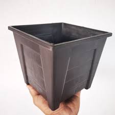 Ia amat fleksibel dan tahan lasak. Bonsai Pot Plastic Price Promotion Jan 2021 Biggo Malaysia